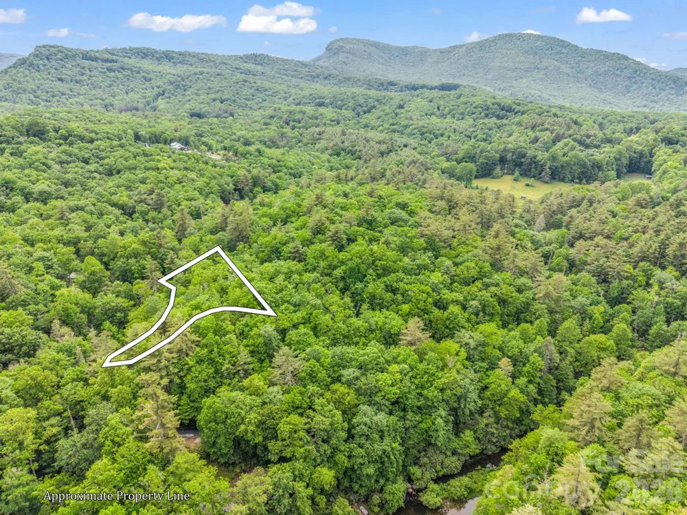 TBD Toxaway Trail #14/3 Lake Toxaway, NC 28747
