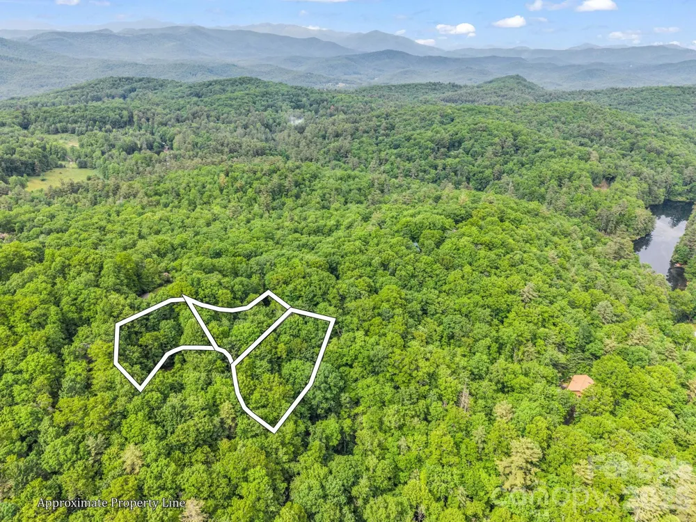 TBD Toxaway Trail #14/3 Lake Toxaway, NC 28747