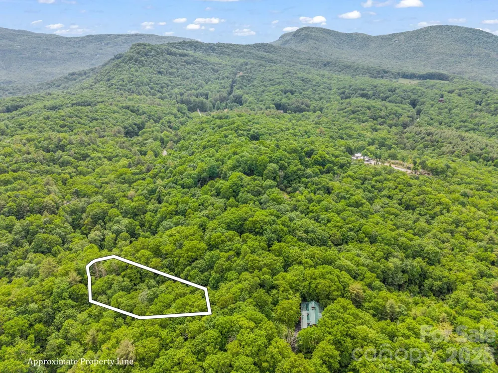 TBD Toxaway Trail #14/3 Lake Toxaway, NC 28747