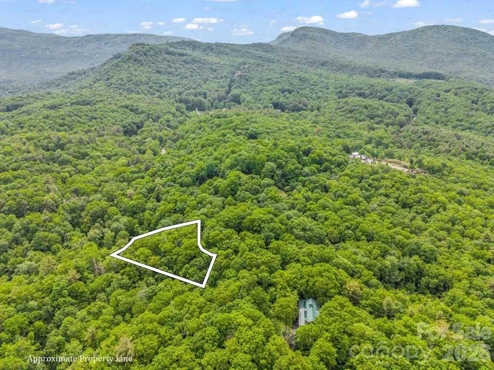 TBD Toxaway Trail #14/3 Lake Toxaway, NC 28747