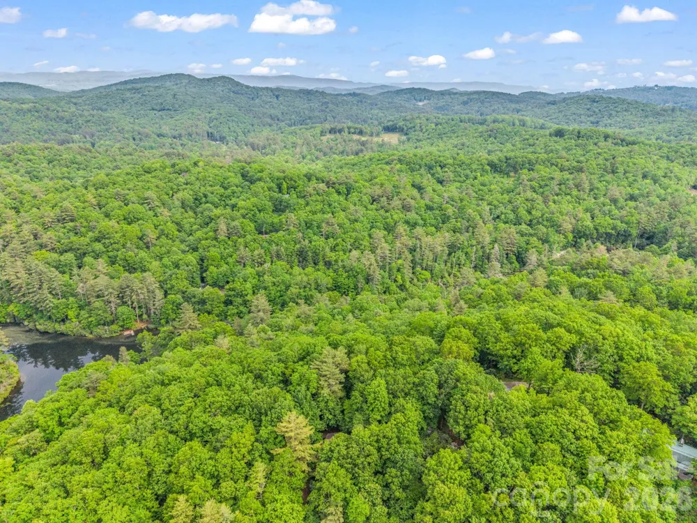 TBD Toxaway Trail #14/3 Lake Toxaway, NC 28747