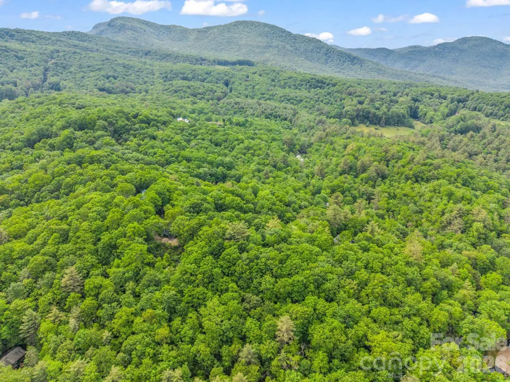 TBD Toxaway Trail #14/3 Lake Toxaway, NC 28747