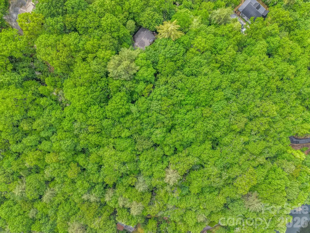 TBD Toxaway Trail #14/3 Lake Toxaway, NC 28747