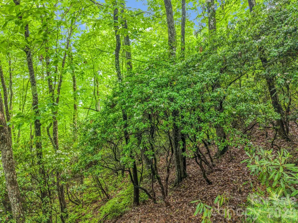 TBD Toxaway Trail #14/3 Lake Toxaway, NC 28747
