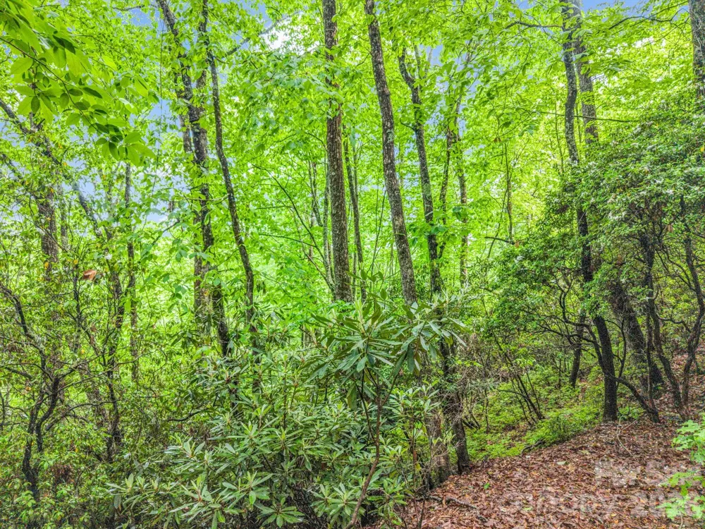 TBD Toxaway Trail #14/3 Lake Toxaway, NC 28747