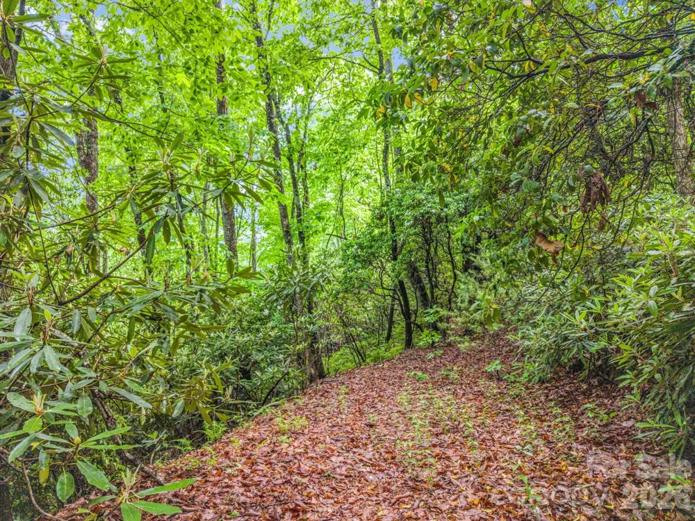 TBD Toxaway Trail #14/3 Lake Toxaway, NC 28747
