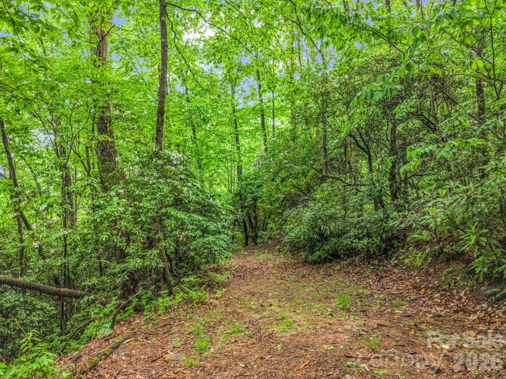 TBD Toxaway Trail #14/3 Lake Toxaway, NC 28747