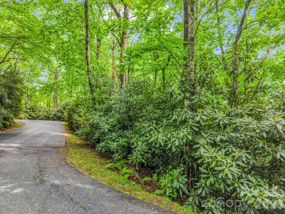 TBD Toxaway Trail #14/3 Lake Toxaway, NC 28747