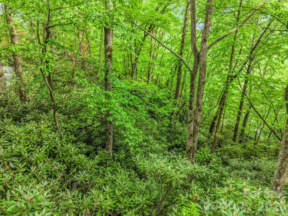 TBD Toxaway Trail #14/3 Lake Toxaway, NC 28747