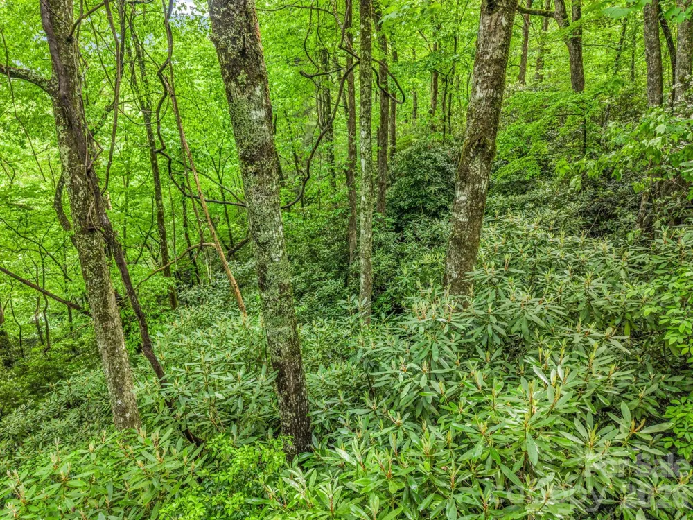 TBD Toxaway Trail #14/3 Lake Toxaway, NC 28747