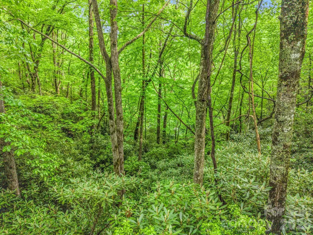 TBD Toxaway Trail #14/3 Lake Toxaway, NC 28747