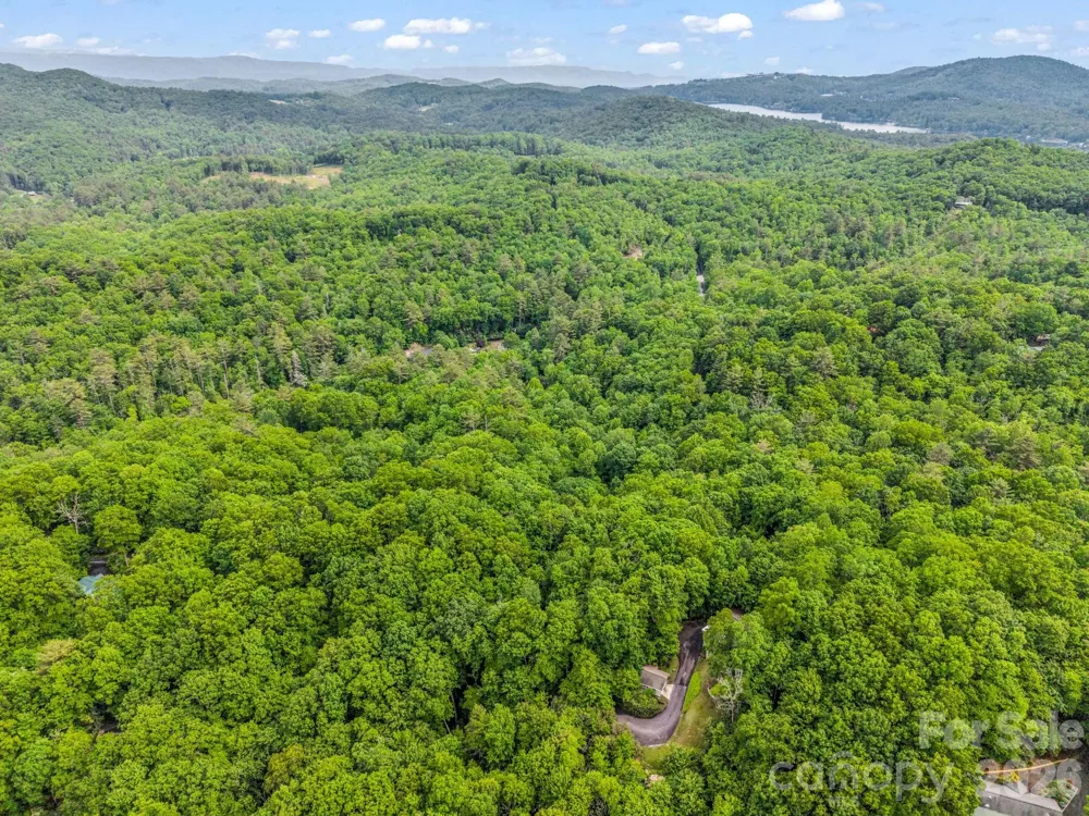 TBD Toxaway Trail #14/3 Lake Toxaway, NC 28747