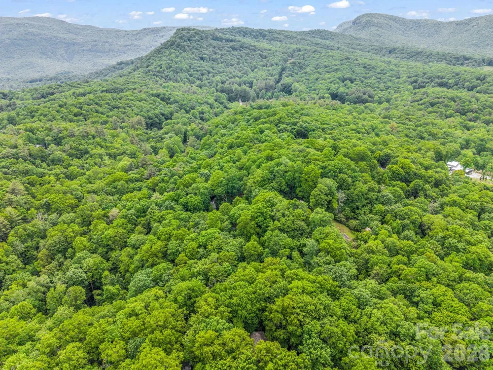 TBD Toxaway Trail #14/3 Lake Toxaway, NC 28747