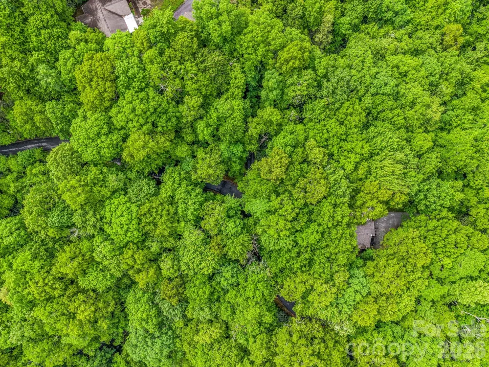 TBD Toxaway Trail #14/3 Lake Toxaway, NC 28747