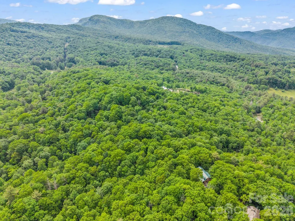 TBD Toxaway Trail #14/3 Lake Toxaway, NC 28747