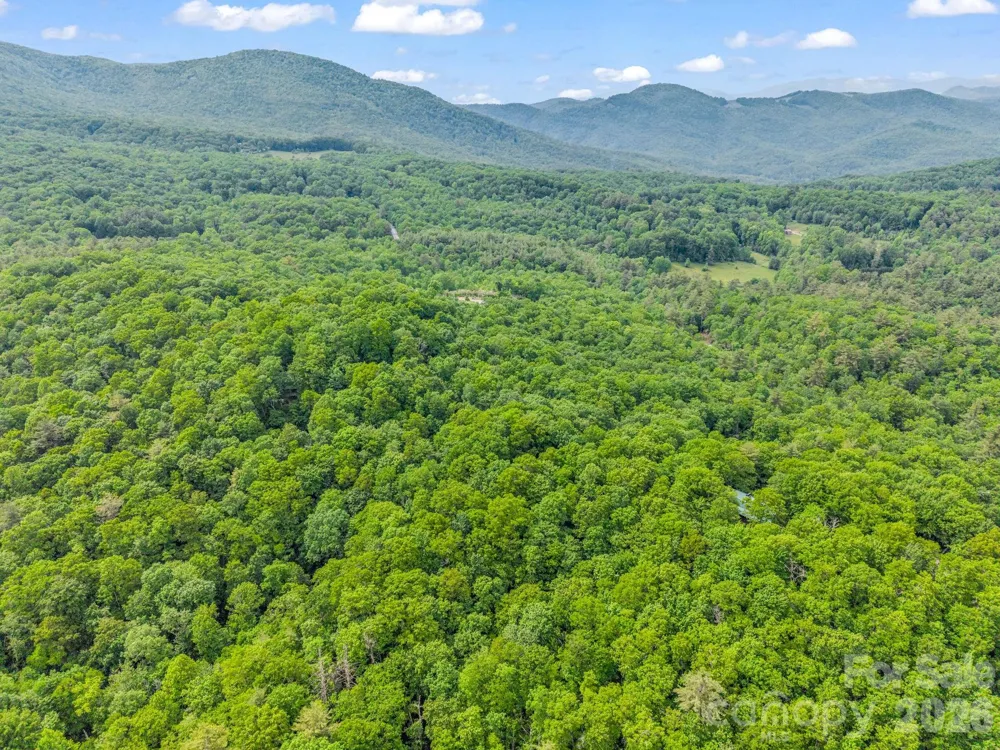TBD Toxaway Trail #14/3 Lake Toxaway, NC 28747