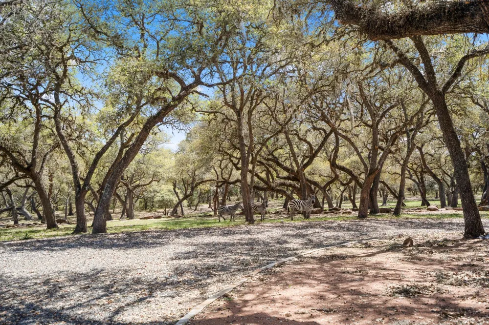 4053 County Road 158 Hallettsville, TX 77964