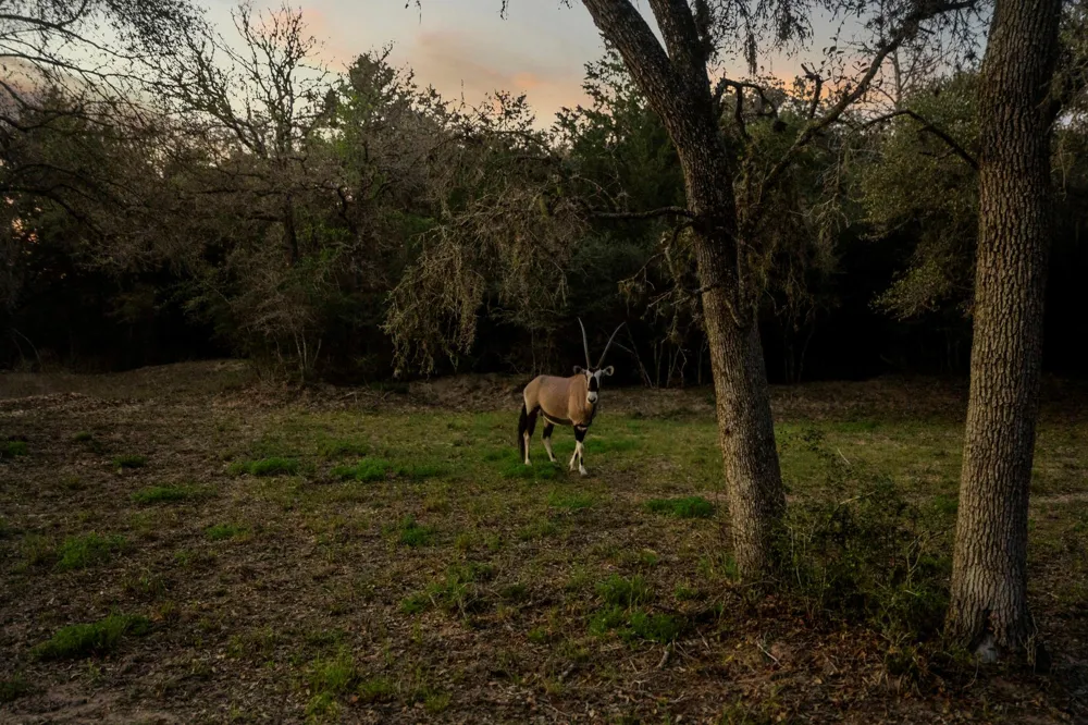 4053 County Road 158 Hallettsville, TX 77964