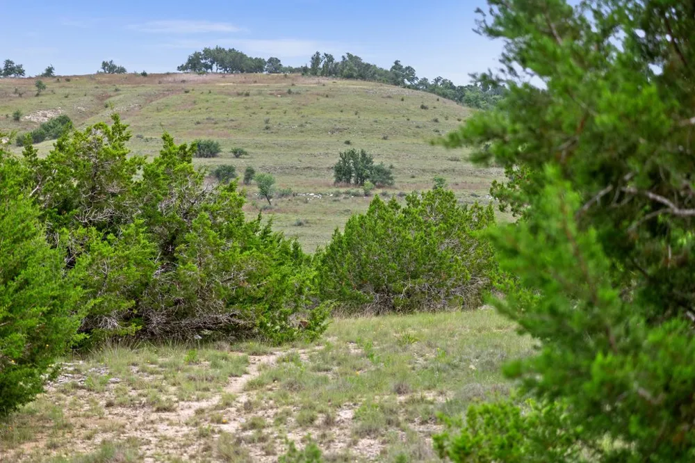 292 Scenic Hills Court Blanco, TX 78606