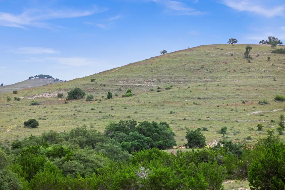 292 Scenic Hills Court Blanco, TX 78606