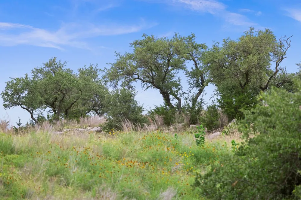 292 Scenic Hills Court Blanco, TX 78606
