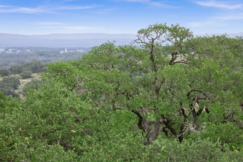 292 Scenic Hills Court Blanco, TX 78606