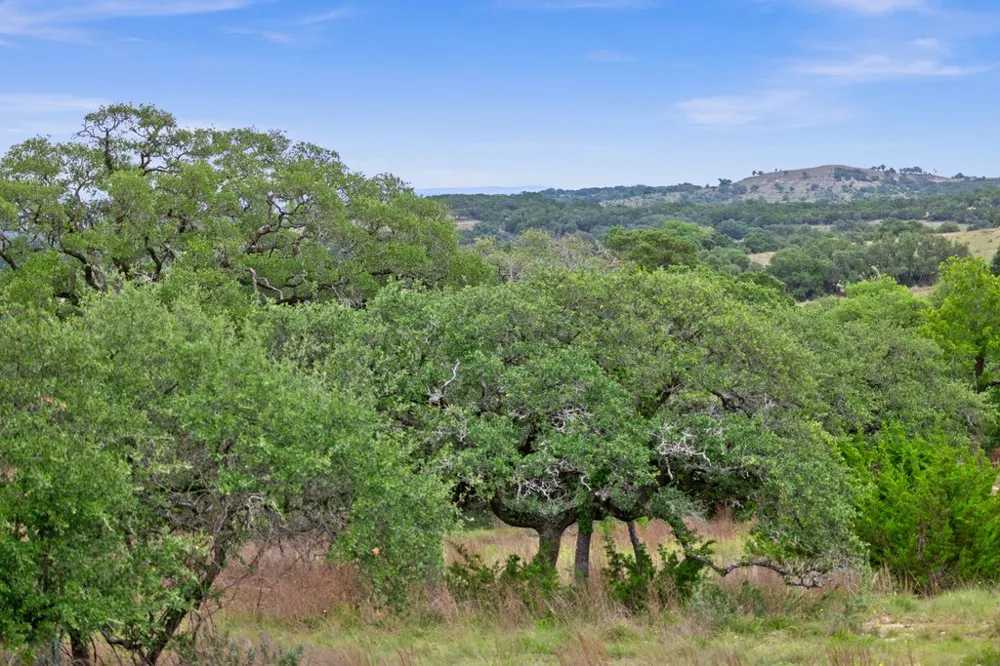 292 Scenic Hills Court Blanco, TX 78606