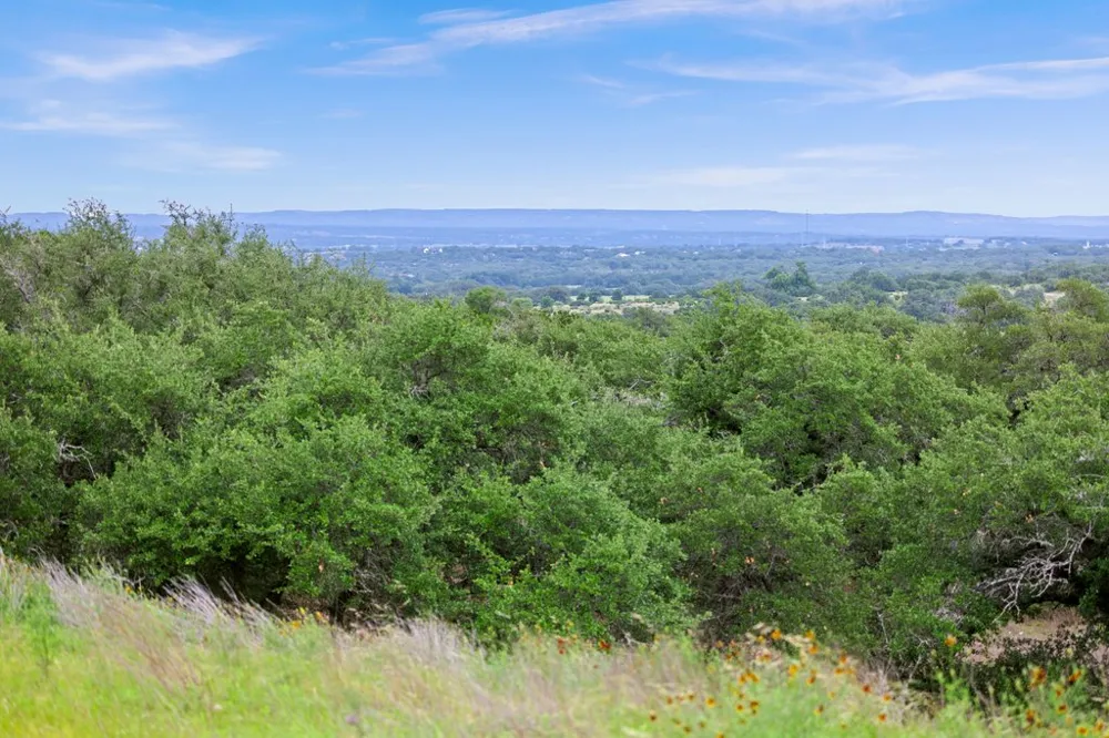 292 Scenic Hills Court Blanco, TX 78606