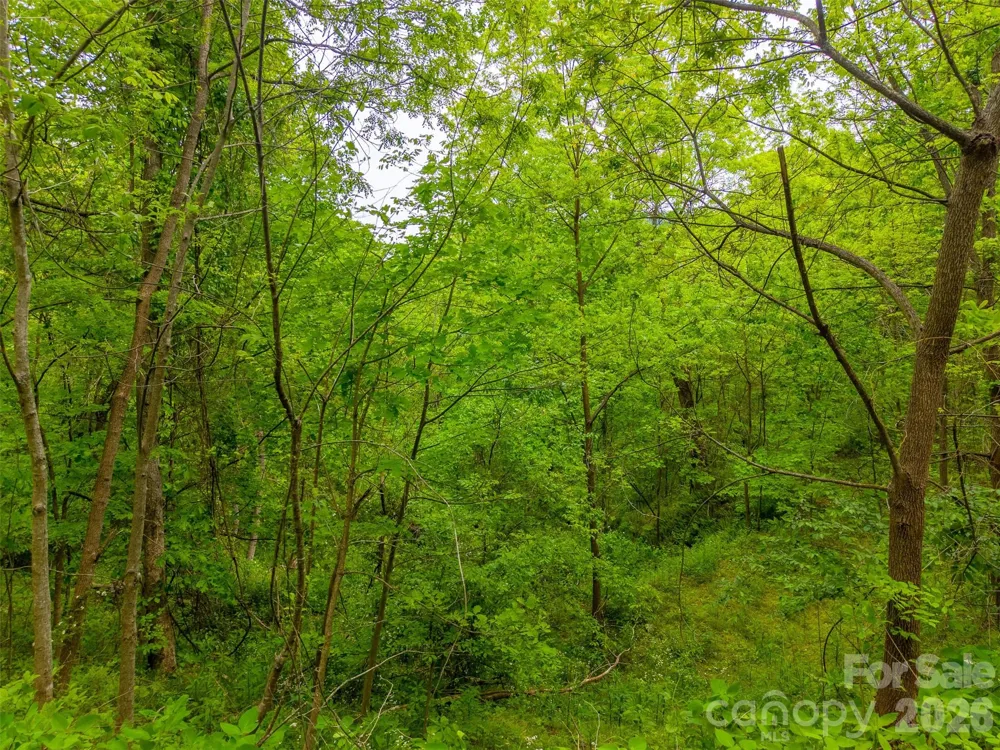 Lot 104 Campbell Mountain Drive Waynesville, NC 28785