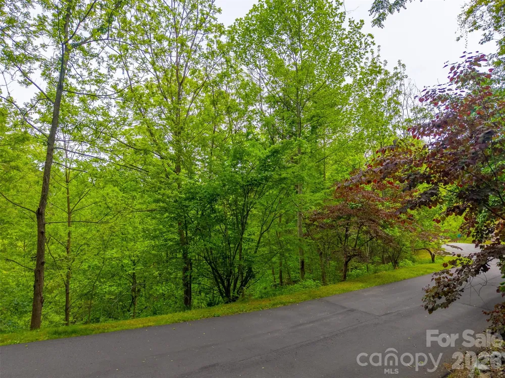 Lot 104 Campbell Mountain Drive Waynesville, NC 28785