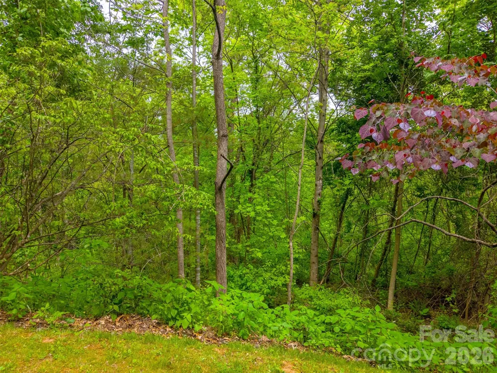 Lot 104 Campbell Mountain Drive Waynesville, NC 28785