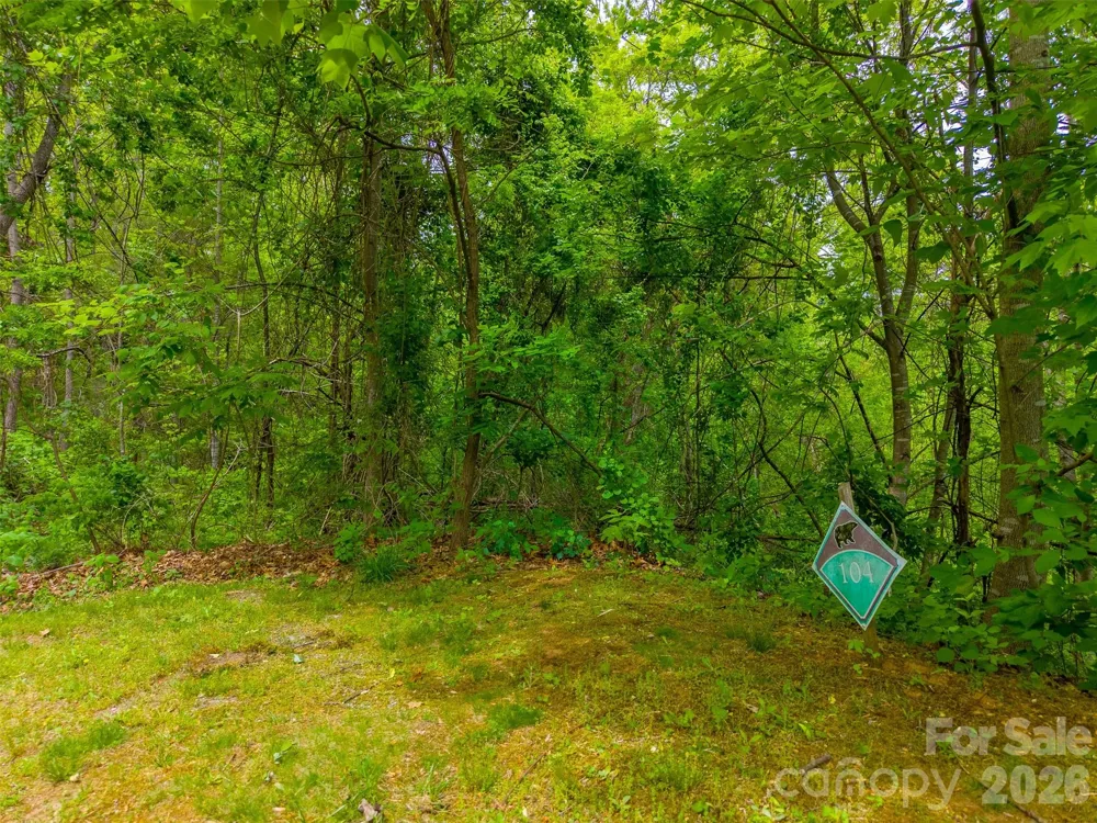 Lot 104 Campbell Mountain Drive Waynesville, NC 28785