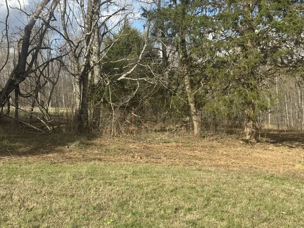 0 White Rd Wartrace, TN 37183