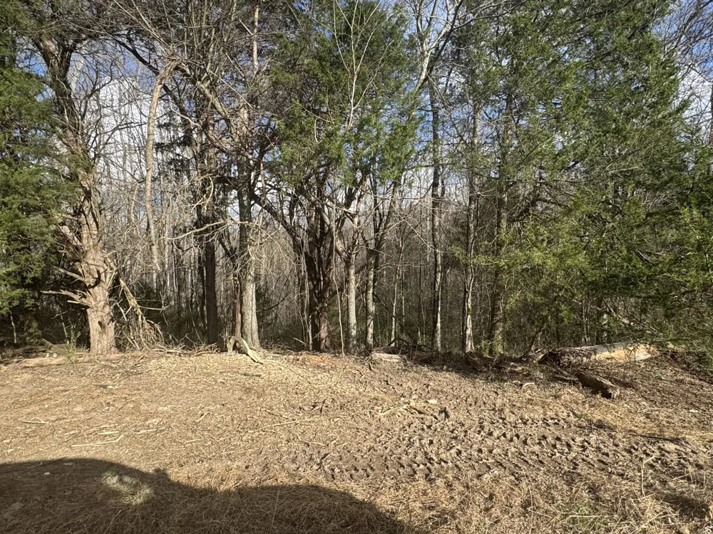 0 White Rd Wartrace, TN 37183