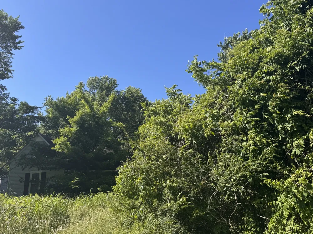 0 White Rd Wartrace, TN 37183
