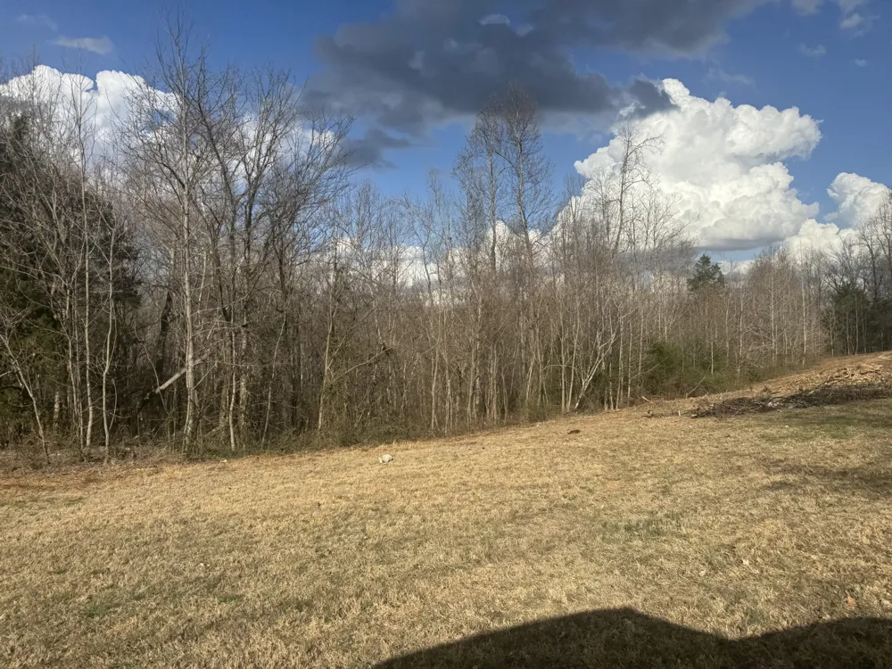 0 White Rd Wartrace, TN 37183