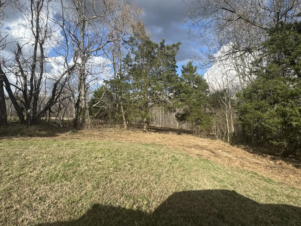 0 White Rd Wartrace, TN 37183