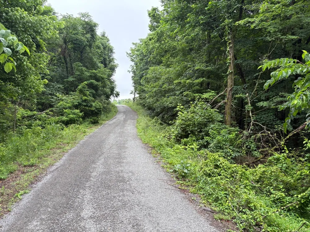 0 Ivy Hollow Rd Mount Pleasant, TN 38474