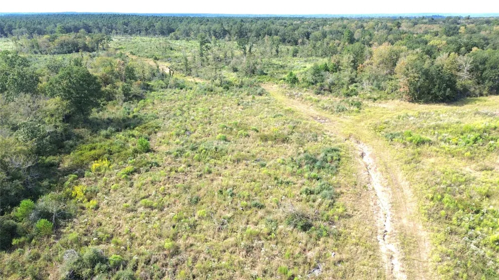 7749 Cr 4200 Pennington, TX 75856
