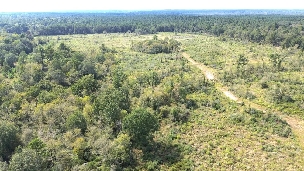 7749 Cr 4200 Pennington, TX 75856
