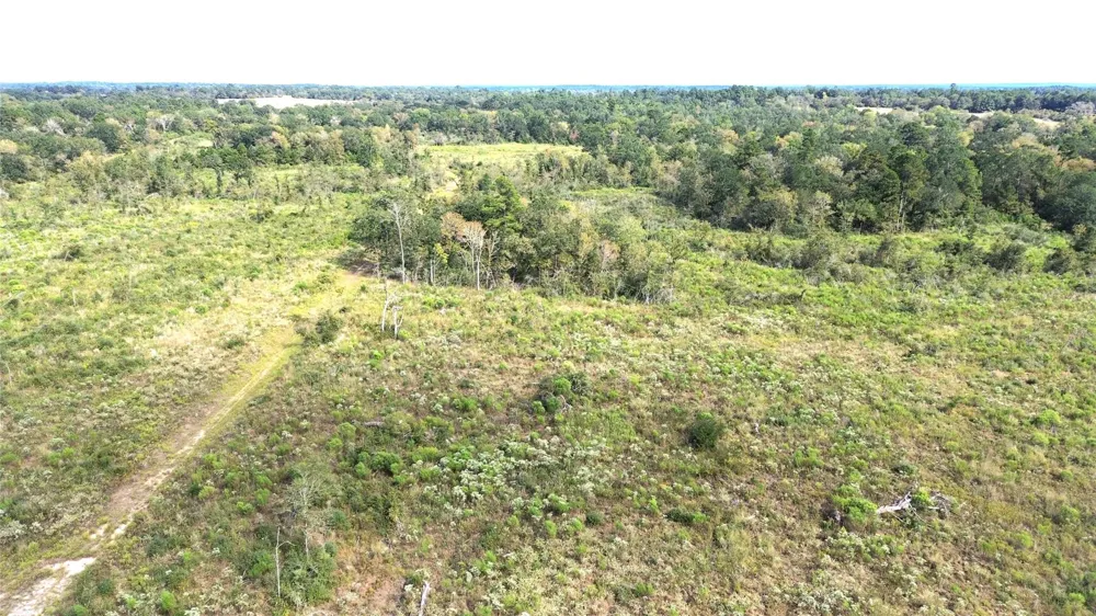 7749 Cr 4200 Pennington, TX 75856