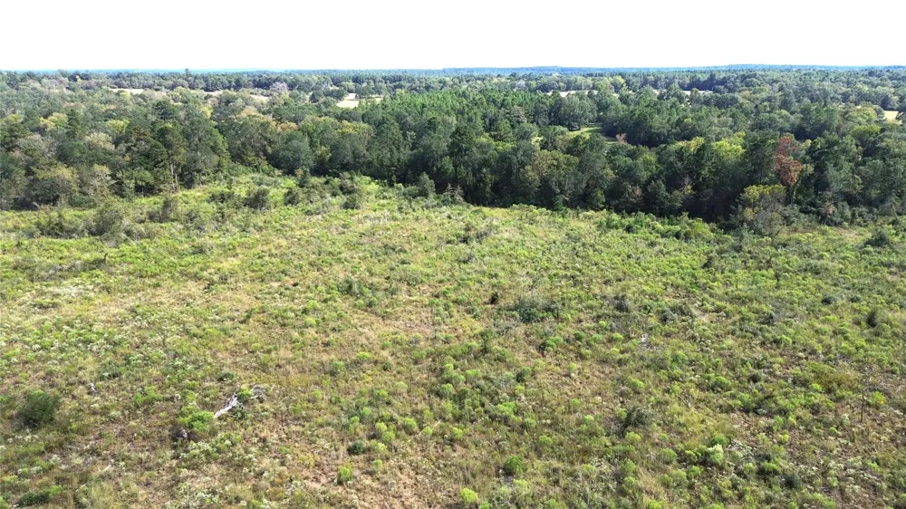 7749 Cr 4200 Pennington, TX 75856