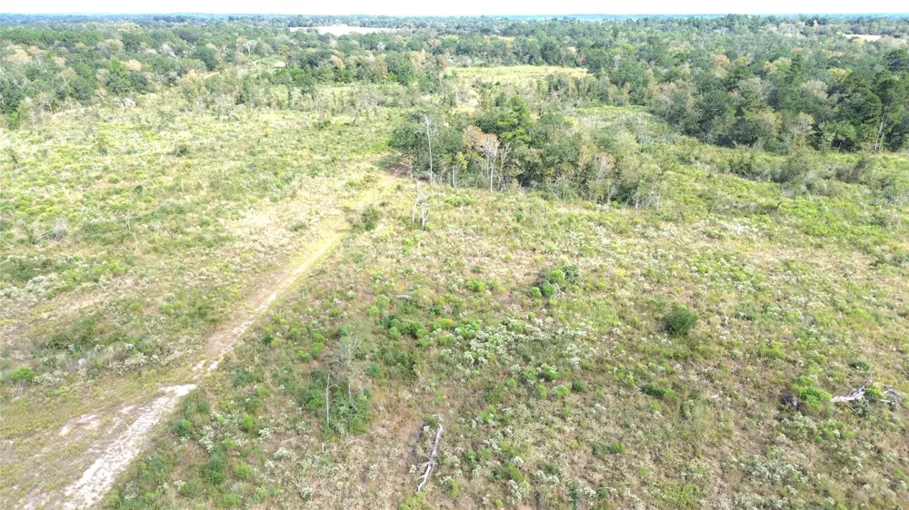 7749 Cr 4200 Pennington, TX 75856