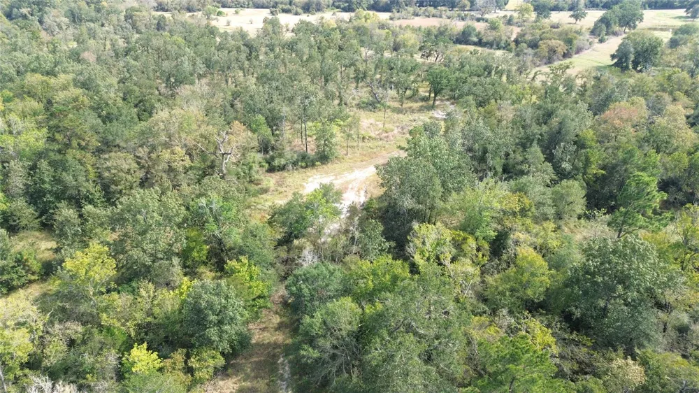 7749 Cr 4200 Pennington, TX 75856