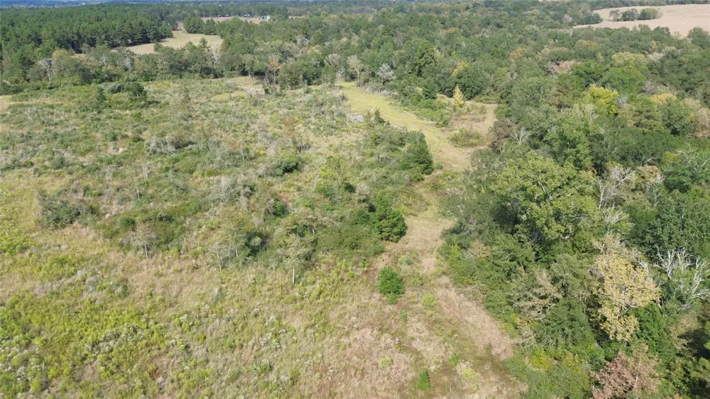 7749 Cr 4200 Pennington, TX 75856