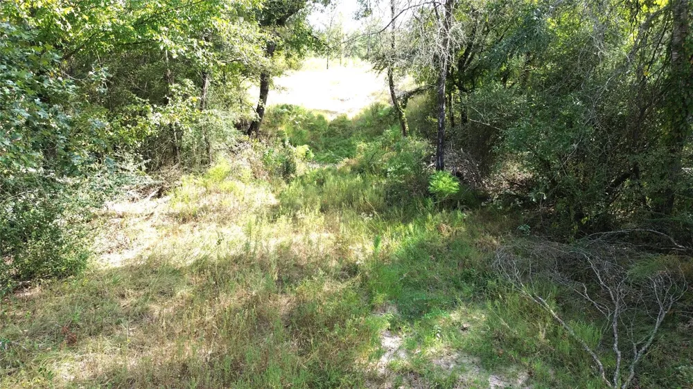 7749 Cr 4200 Pennington, TX 75856