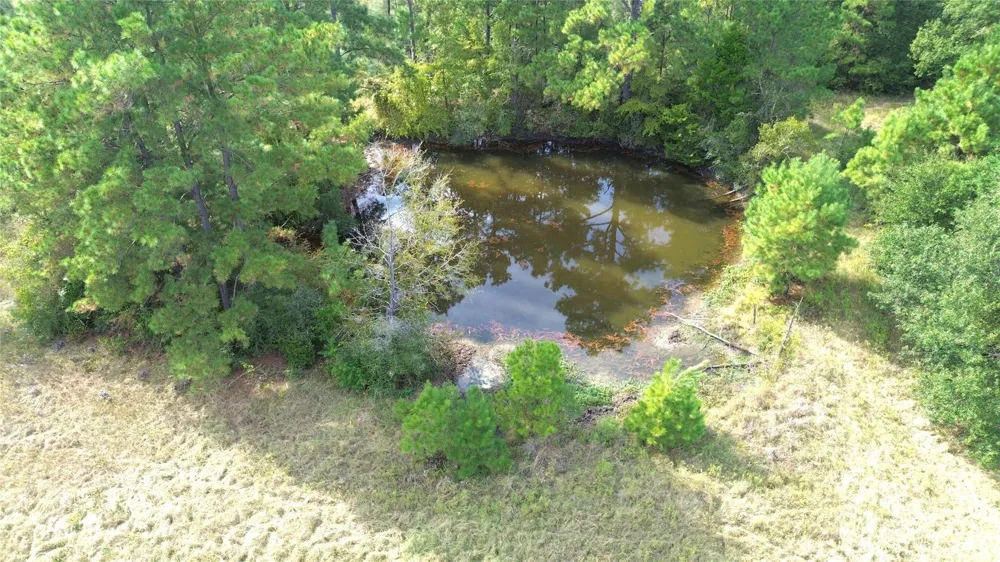 7749 Cr 4200 Pennington, TX 75856