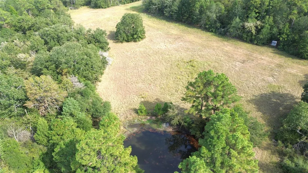7749 Cr 4200 Pennington, TX 75856