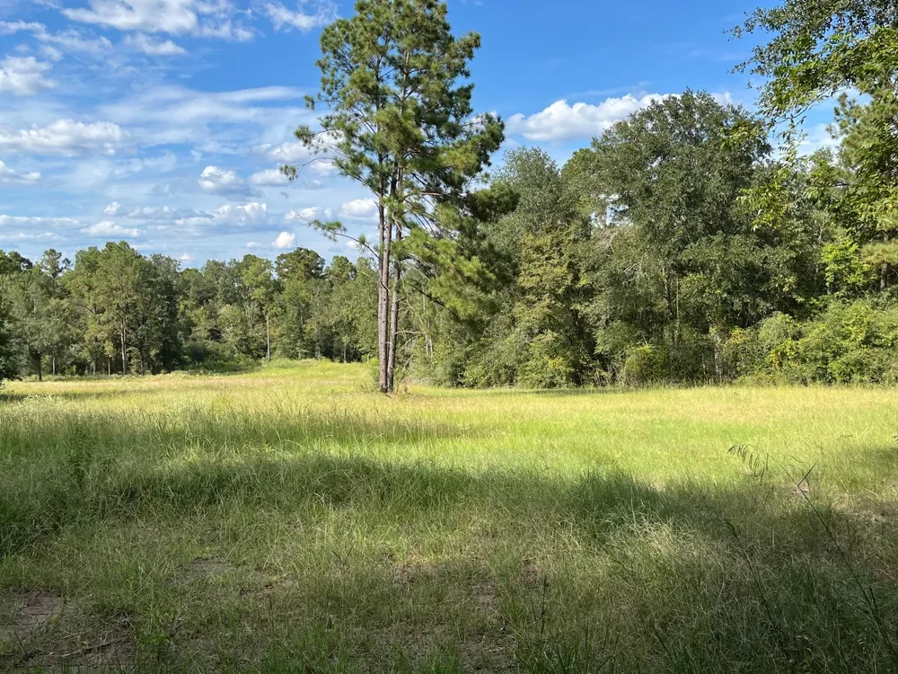7749 Cr 4200 Pennington, TX 75856