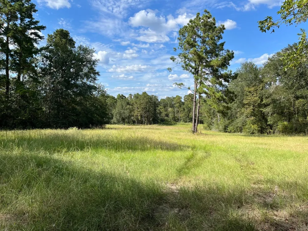 7749 Cr 4200 Pennington, TX 75856